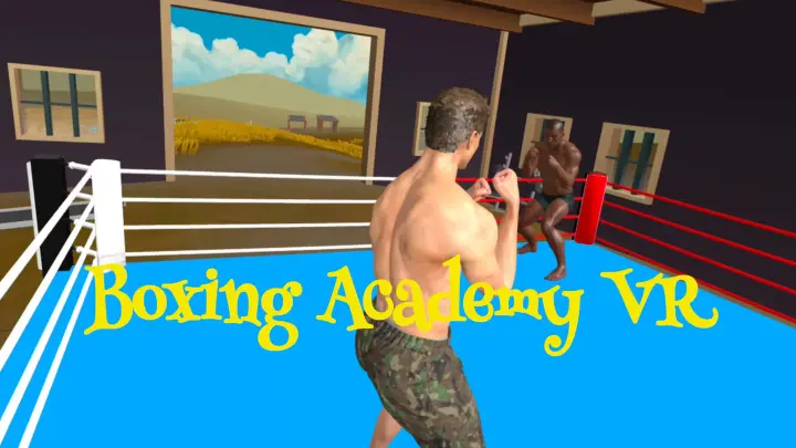Boxing Academy VR