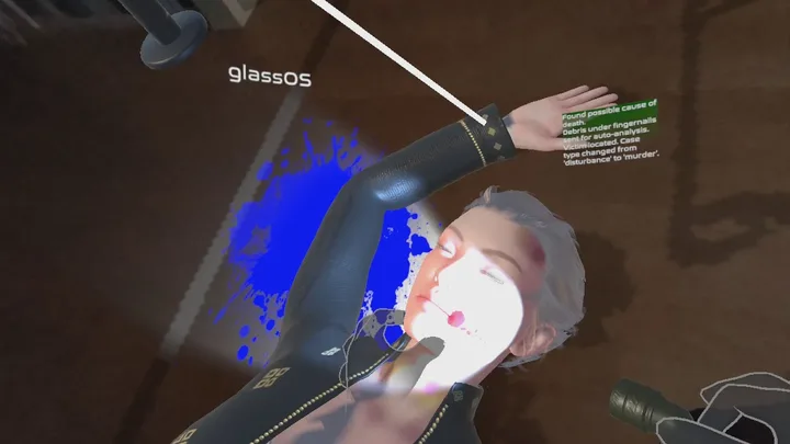 Home Detective