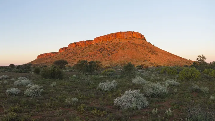 Immersive  Australia