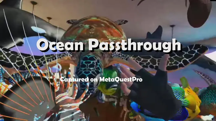 Ocean Passthrough